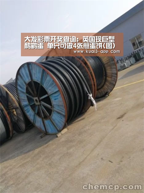 大发彩票开奖查询：英国现巨型鸸鹋蛋 单只可做4张煎蛋饼(图)