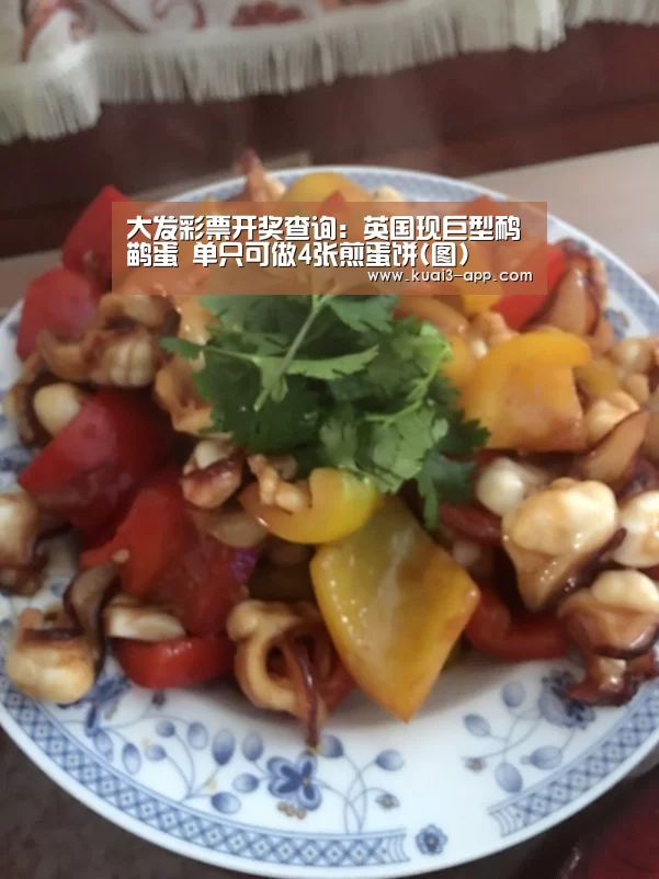 大发彩票开奖查询:英国现巨型鸸鹋蛋 单只可做4张煎蛋饼(图)(图2) 大发彩票开奖查询