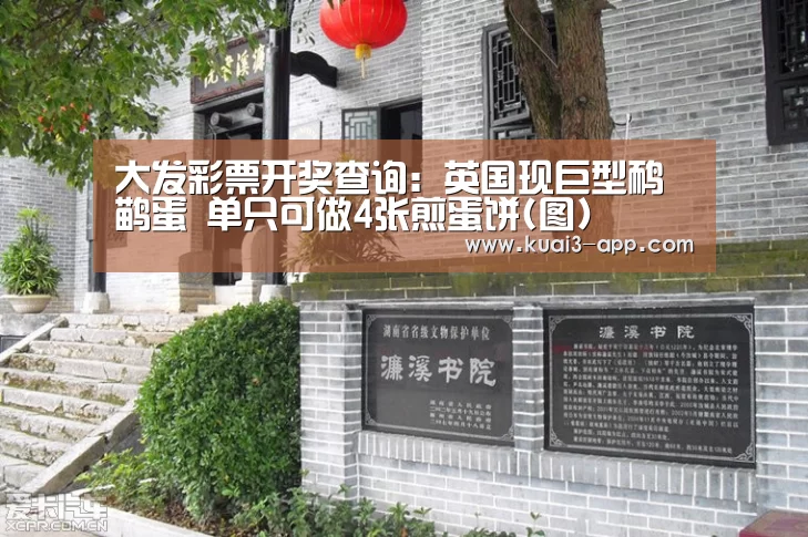 大发彩票开奖查询:英国现巨型鸸鹋蛋 单只可做4张煎蛋饼(图)(图4) 大发彩票官网