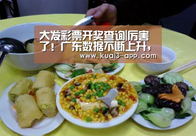 大发彩票开奖查询|厉害了!广东数据不断上升, 豪取15连胜堪称完美(图3) 大发彩票